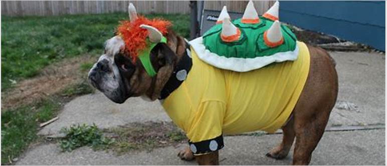 Mushroom costume for dog
